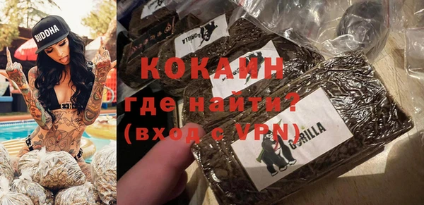 крисы Бородино