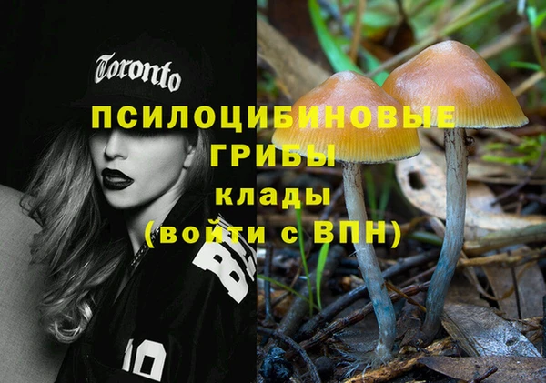 a pvp Бугульма