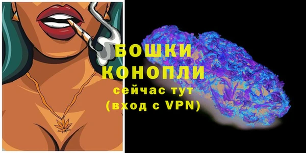 крисы Бородино