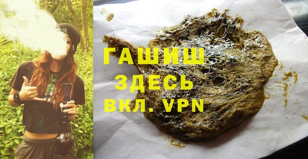 крисы Бородино