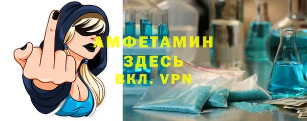 крисы Бородино