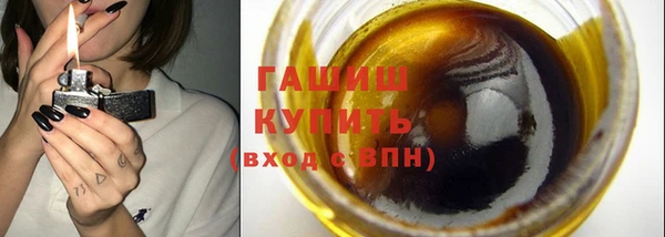 крисы Бородино