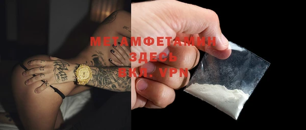 крисы Бородино