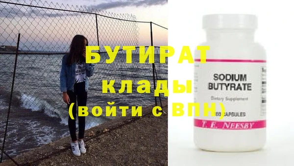 крисы Бородино