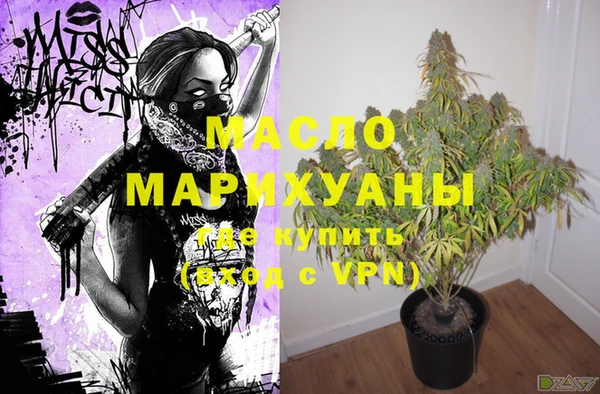 крисы Бородино