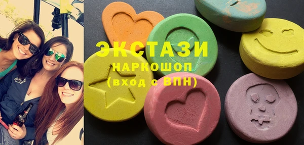 крисы Бородино