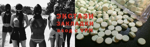 крисы Бородино