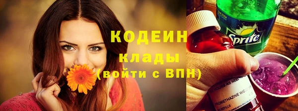 крисы Бородино