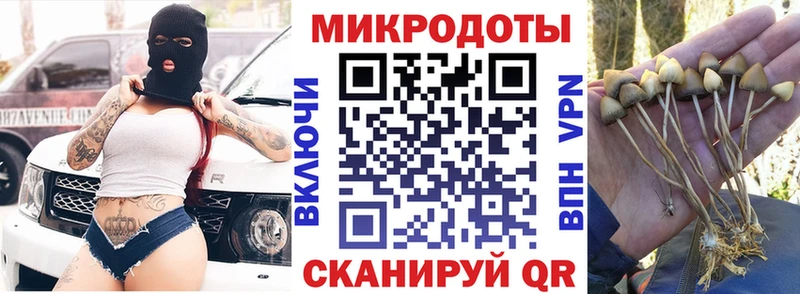 Псилоцибиновые грибы мухоморы  где найти   Дмитровск 